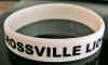 CROSSVILLE LIONS.jpg (956974 bytes)