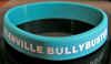 GLENVILLE BULLYBUSTER.jpg (589623 bytes)