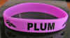 PLUM w STALLION HEAD LOGO.jpg (804246 bytes)