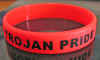 TROJAN PRIDE.jpg (956669 bytes)