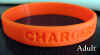 chargers.jpg (886560 bytes)